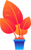 flower-top